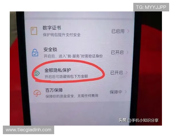 掌握AG恒峰官网登入流程，轻松实现账号快速登录与安全保障