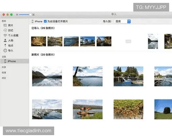 用户必看：ag1024入口按钮的使用流程与常见操作步骤指南