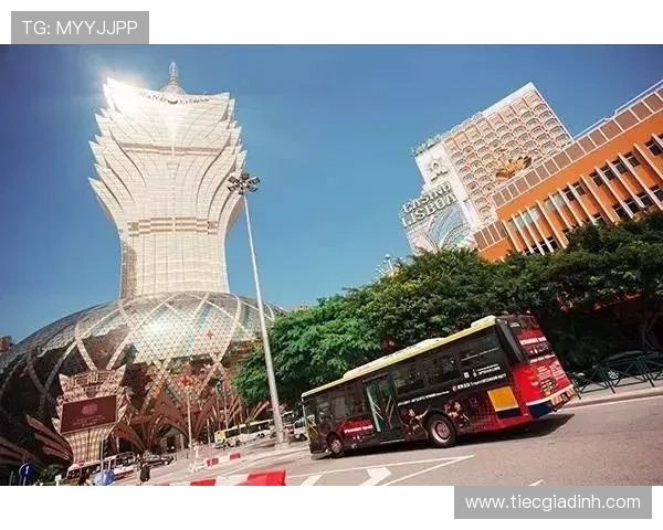 澳门线上百家乐怎么玩才能提高胜率和避免常见的陷阱